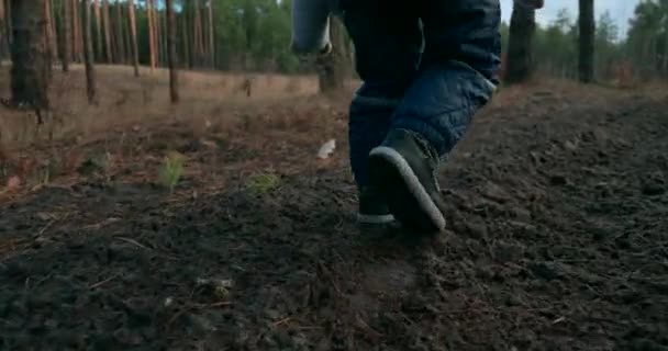 Fußabdrücke Von Kindern Auf Feldwegen Aus Nächster Nähe Morgens Abendsonne — Stockvideo