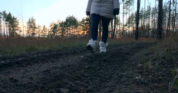 Kobieta Chodząca Pieszo Zamknij Żeńskie Ślady Butów Dirt Road Dobry — Wideo stockowe