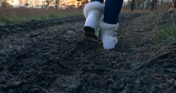 Kvinnors Vandring Närbild Kvinnliga Fotspår Skoavtryck Dirt Road God Morgon — Stockvideo