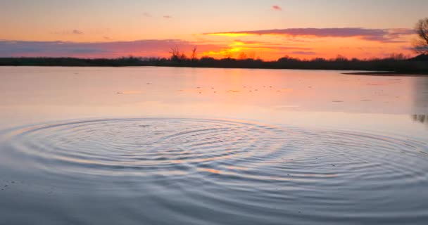 Киньте Пісок Утворюючи Хвилі Воді Озері Понд Scenic Picturesque Sunset — стокове відео
