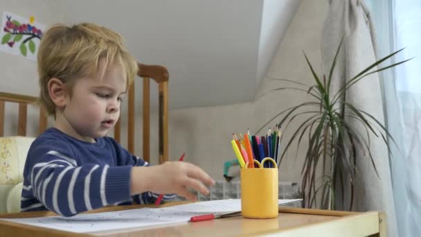 Niño Aprende Dibujar Con Lápiz Fieltro Educación Infantil Hogar Estudio — Vídeo de stock