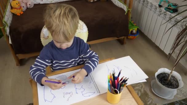 Niño Aprende Dibujar Con Lápiz Fieltro Educación Infantil Hogar Estudio — Vídeos de Stock