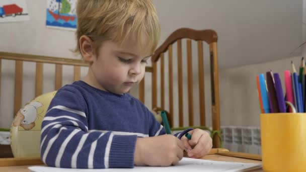 Αγοράκι Μαθαίνει Ζωγραφική Στυλό Από Τσόχα Εκπαίδευση Παιδιών Στο Σπίτι — Αρχείο Βίντεο