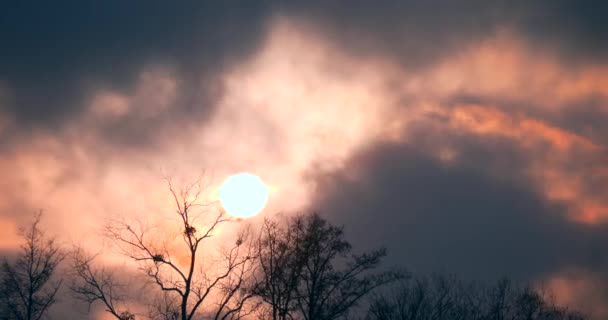 Time Lapse Zonsondergang Zon Achter Donkergrijze Wolken Bewegen Snel Ronde — Stockvideo