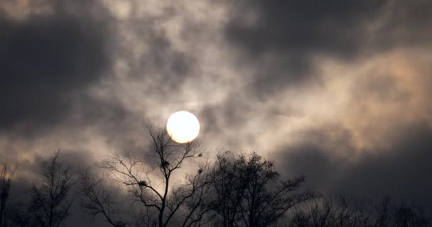 Sonne Hinter Dunkelgrauen Wolken Die Sich Schnell Bewegen Runde Sonnenscheibe — Stockvideo