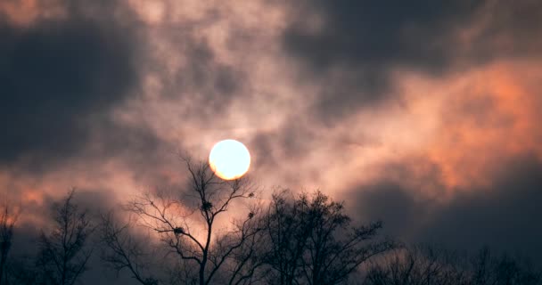 暗い灰色の雲の後ろに太陽が速く移動します ラウンド ソーラー ディスク 強風気候夜の夕暮れ灰色の空 — ストック動画
