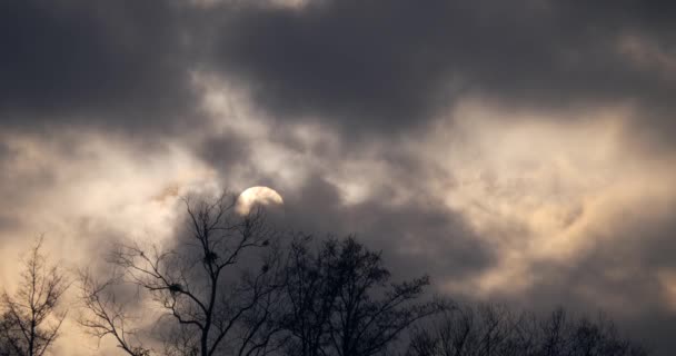 太阳在深灰色的云彩后面快速移动 太阳圆盘 强风天气及气候黄昏灰蒙蒙的天空 — 图库视频影像