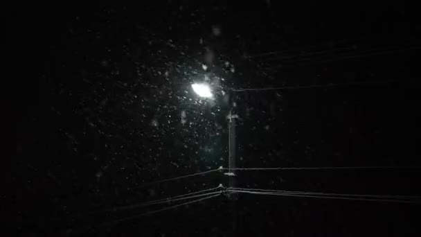 60P Śnieżna Śnieżyca Płatki Śniegu Spadają Street Light Electric Wires — Wideo stockowe