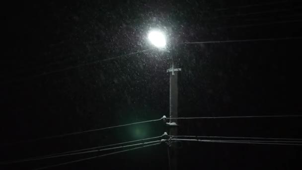 Schneefall Blizzard Schneeflocken Fallen Auf Straßenbeleuchtungskabel Wetterbedingungen Klima Winternacht Zeitlupe — Stockvideo