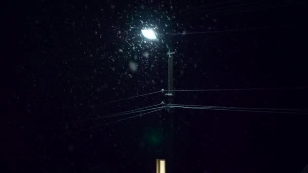 Nevasca Neve Flocos Neve Caindo Fios Elétricos Luz Rua Condições — Vídeo de Stock