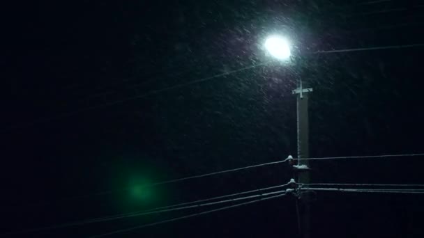 Śnieżynka Blizzard Płatki Śniegu Spadają Street Light Electric Wires Pogoda — Wideo stockowe