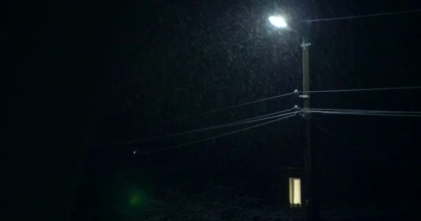 Snöfall Snöstorm Snöflingor Fallande Street Light Electric Wires Väderförhållanden Klimat — Stockvideo