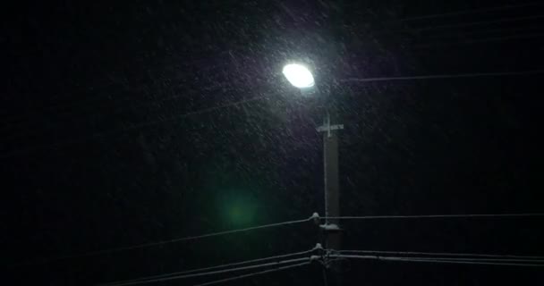 Śnieżynka Blizzard Płatki Śniegu Spadają Street Light Electric Wires Pogoda — Wideo stockowe