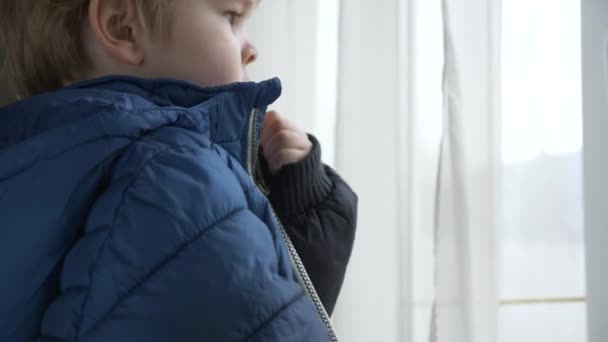Cute Child Fastens Jacket Zipper Little Boy Wearing Winter Attire — Stock Video