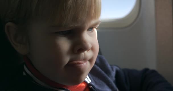 小さな男の子は飛行機でボード上の助手席でメニューの本を見て読んでいます 機内での食事の選択 — ストック動画