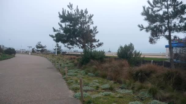 Urbane Grünflächen Der Nähe Von Quay City Beach Seashore Havre — Stockvideo