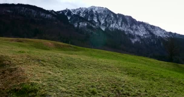 Green Meadows Pastagens Nas Montanhas Snowy Peak Mountain Top Alpes — Vídeo de Stock