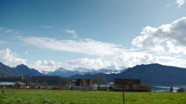 Lago Lucerna Alpi Svizzera Europa Vista Dalla Macchina Muoversi Sulla — Video Stock