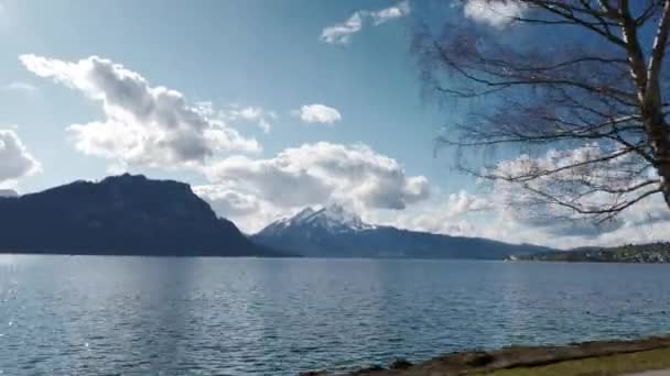 Lago Lucerna Alpi Svizzera Europa Vista Dalla Macchina Muoversi Sulla — Video Stock