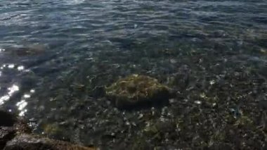 Stony Shore yakınlarındaki Temiz Su 'ya yakın çekim. Lucerne Gölü Dağı, İsviçre Avrupa. Yavaş çekim