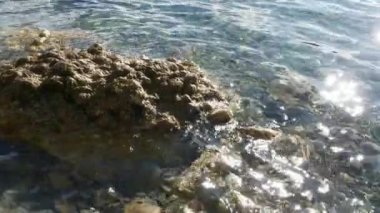 Stony Shore yakınlarındaki Temiz Su 'ya yakın çekim. Lucerne Gölü Dağı, İsviçre Avrupa. Yavaş çekim