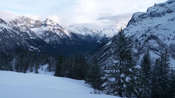 Panorama Balmeters Oberalpstock Witenalpstock Chli Windgallen Bristen Hoch Geissberg Mountains — Stockvideo