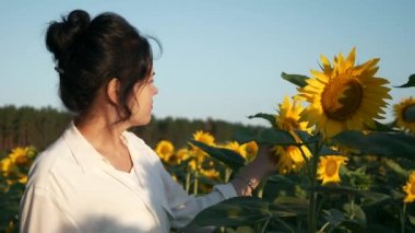 Genç kadın ayçiçeği tarlasına bak. Kadın Tarım İşçisi Geleceğin Ürünlerini Denetliyor. Yaz sabahı. 2x Yavaş çekim 60fps 4K