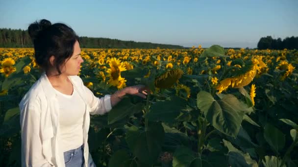 Mujer Joven Mira Campo Girasol Trabajadora Agrónoma Agrónoma Inspecciona Cultivos — Vídeos de Stock