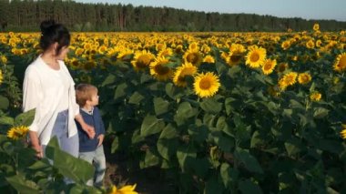 Anne ve Oğul Ayçiçeği tarlası boyunca yürür. Kadın ve Çocuk Doğanın tadını çıkarın Bitkilere bakın. Kırsal Bölge Yaz Sabahı. 2x Yavaş çekim 60fps 4K