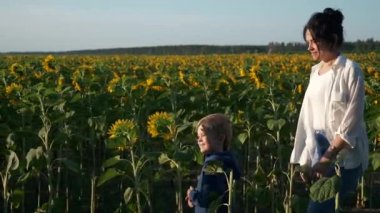 Anne ve Oğul Ayçiçeği tarlası boyunca yürür. Kadın ve Çocuk Doğanın tadını çıkarın Bitkilere bakın. Kırsal Bölge Yaz Sabahı. 2x Yavaş çekim 60fps 4K