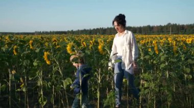 Anne ve Oğul Ayçiçeği tarlası boyunca yürür. Kadın ve Çocuk Doğanın tadını çıkarın Bitkilere bakın. Kırsal Bölge Yaz Sabahı. 2x Yavaş çekim 60fps 4K