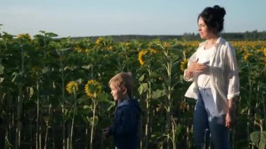 Anne ve Oğul Ayçiçeği tarlası boyunca yürür. Kadın ve Çocuk Doğanın tadını çıkarın Bitkilere bakın. Kırsal Bölge Yaz Sabahı. 2x Yavaş çekim 60fps 4K