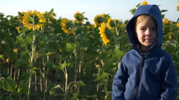 Маленький Хлопчик Вивчає Природу Поблизу Соняшникового Поля Дитина Пізнає Світ — стокове відео