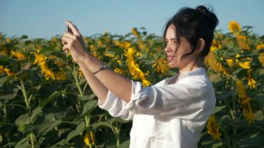 Pretty Woman, Ayçiçeği tarlası yakınlarındaki Smartphone 'da Selfie Fotoğrafları Çekiyor. Genç Güzel Kadın Bitkilere Bakarak Doğanın tadını çıkarıyor. Kırsal Bölge Yaz Sabahı. 2x Yavaş çekim 60fps 4K