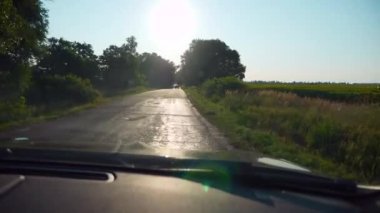 Kırsal Otoyol Otobanı 'nda POV Ön Cam Görünümü. Ayçiçeği tarlası. Parlak Günışığı Güneşli Yaz Sabahı. 2x Yavaş çekim 60fps 4K