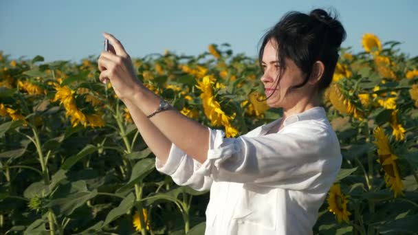Pretty Woman Takes Selfie Pictures Fotos Smartphone Cerca Sunflower Field — Vídeos de Stock