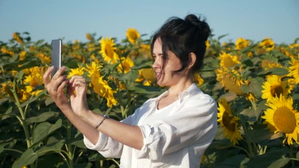 Pretty Woman Robi Zdjęcia Selfie Smartfonie Pobliżu Sunflower Field Młoda — Wideo stockowe