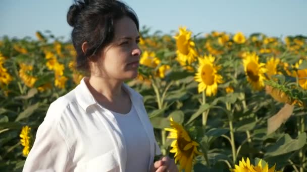 Genç Kadın Ayçiçeği Tarlasına Bak Kadın Tarım Şçisi Geleceğin Ürünlerini — Stok video