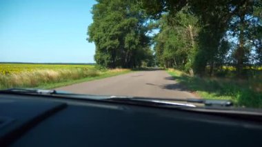 Kırsal Otoyol Otobanı 'nda POV Ön Cam Görünümü. Ayçiçeği tarlası. Parlak Günışığı Güneşli Yaz Sabahı. 2x Yavaş çekim 60fps 4K