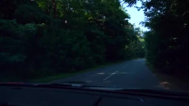 开车穿过森林 乡郊公路州际公路风挡风挡景观 阳光灿烂的夏日 X2慢动作60Fps — 图库视频影像