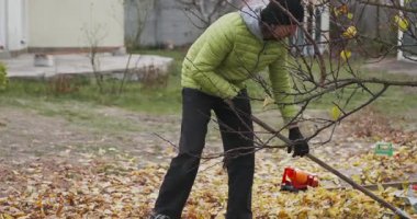 Adam Arka Bahçe Bahçesinde Düşen Sarı Yapraklar. Sonbahar Bulutlu Günü 4K 10-bit