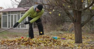 Adam Arka Bahçe Bahçesinde Düşen Sarı Yapraklar. Sonbahar Bulutlu Günü 4K 10-bit