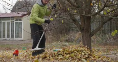 Adam Arka Bahçe Bahçesinde Düşen Sarı Yapraklar. Sonbahar Bulutlu Günü 4K 10-bit
