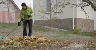 Adam Arka Bahçe Bahçesinde Düşen Sarı Yapraklar. Sonbahar Bulutlu Günü 4K 10-bit