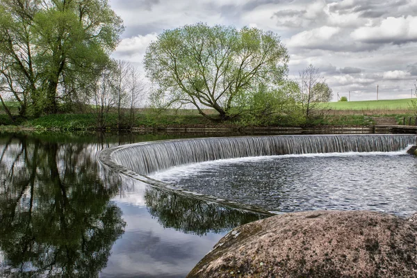 Bos wandeling op een zomeravond — Stockfoto