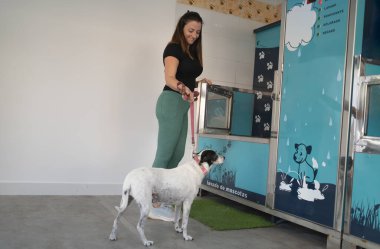 Hayvan hijyeni için köpeğiyle hayvan yıkama istasyonunda duran bir kadın.