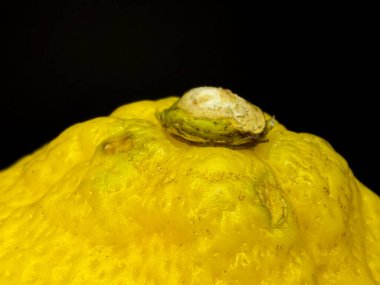 Tazelik, C vitamini, sağlıklı beslenme, market üretimi, beslenme, meyve ve narenciye aromalı kavramları temsil eden ayrıntılı turunçgil derisi dokusunu gösteren bir limonun makro yakın çekimi ve koyu bir arkaplanı temsil ediyor..