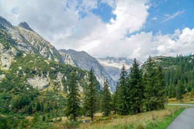 İsviçre Alpleri 'nde tepesinde kar olan bir dağ. Dağlar ağaçlarla çevrili. Gökyüzü bulutlu.