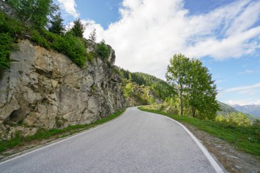 Yanı başında ağaç olan bir yol. Yol boş ve gökyüzü mavi.