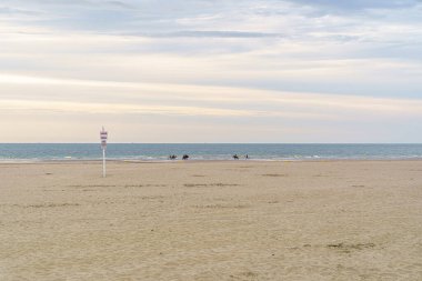 Issız bir sahil. Şehirdeki okyanus kıyısında. Fransa 'da bir düello. Plajdaki tabelada 